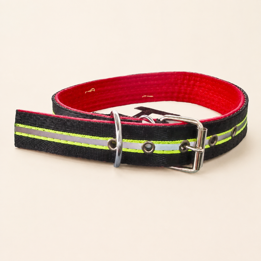 Collar negro con franja verde y forro rojo 19025-103 — vista completa