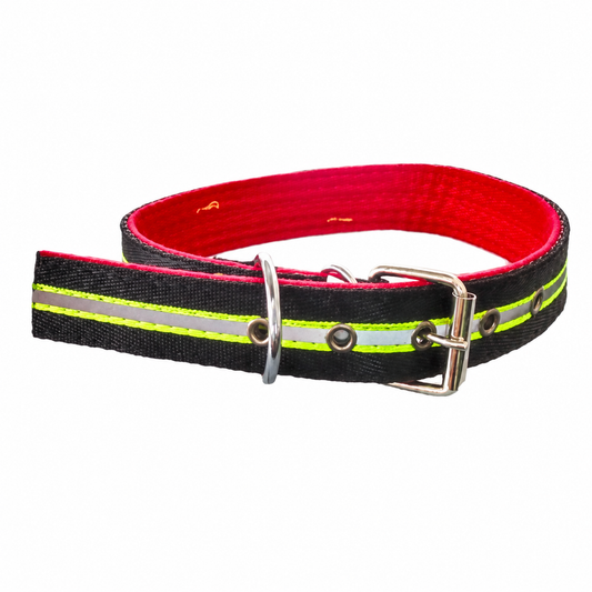 Collar negro con franja verde y forro rojo 19025-103 — fondo blanco