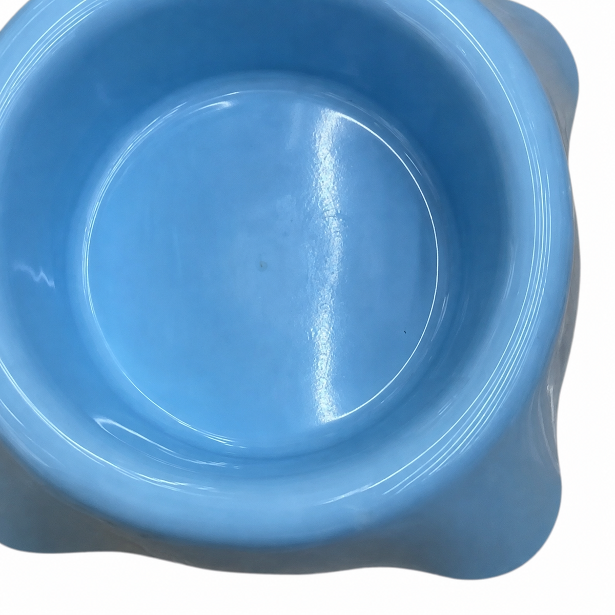 Plato azul para mascotas con base ancha 20400-1 — detalle